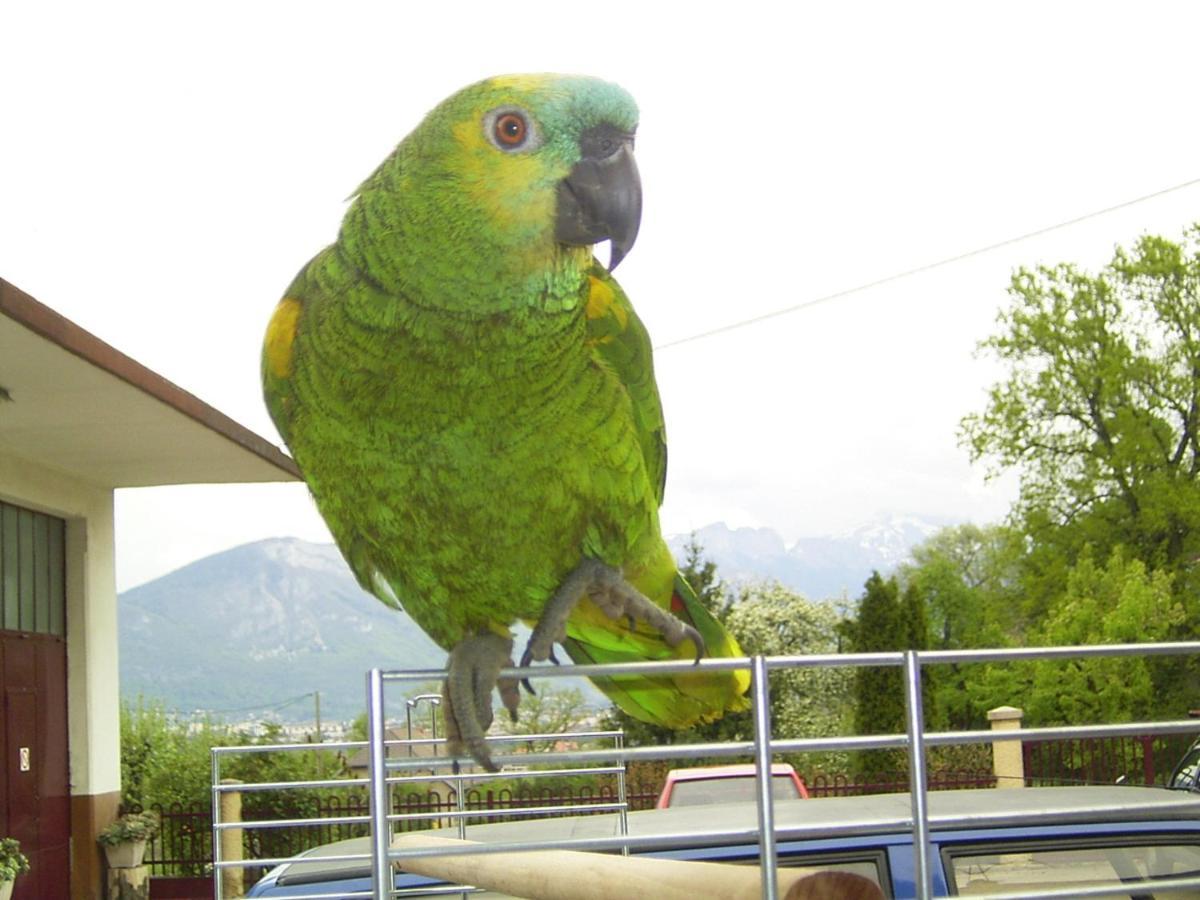 Bed and Breakfast Le Paon Bleu Annecy Poisy Exterior foto